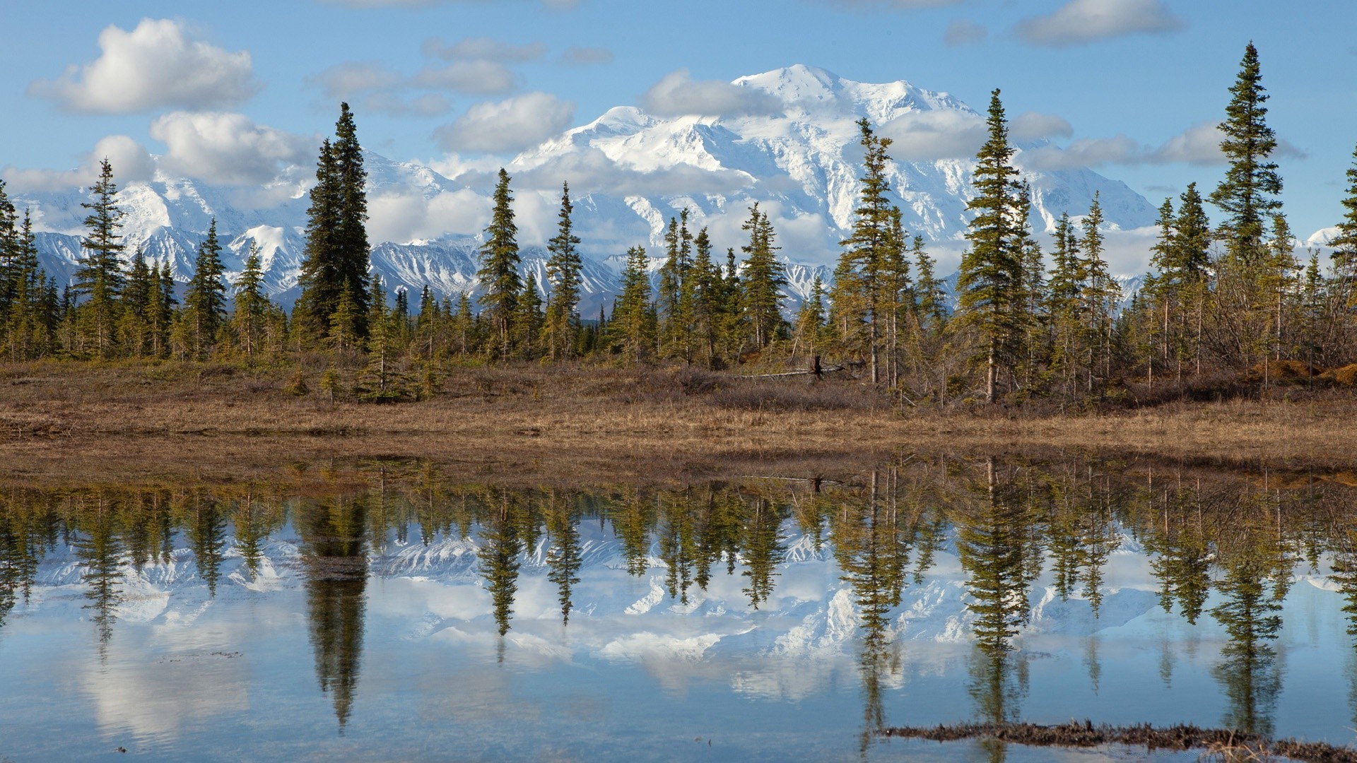 Tundra Pond, Mount McKinley, Denali National Park, Alaska бесплатно