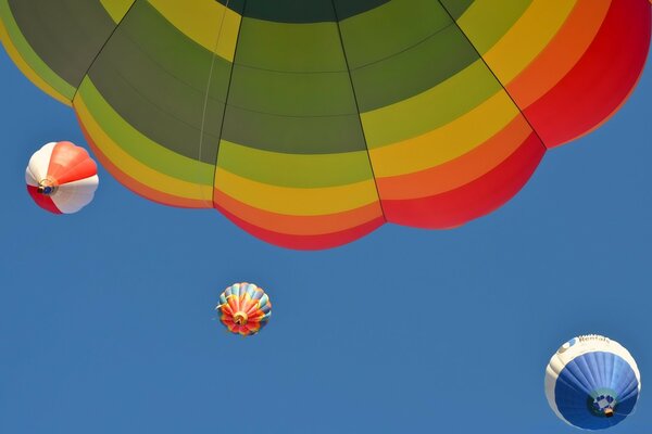 Ballons multicolores dans le ciel