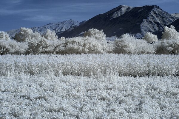 Infrared Landscape Photography