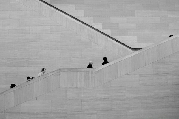 Escalera imagen en blanco y negro