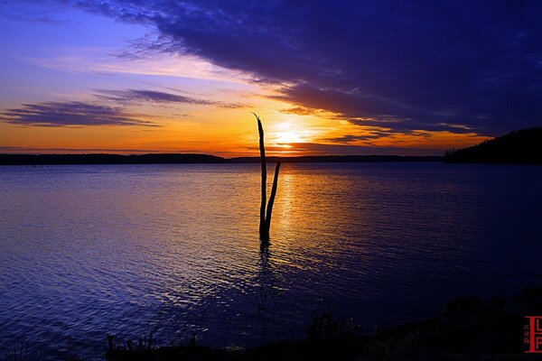 A lonely tree trunk towering over the lake water against the sunset background