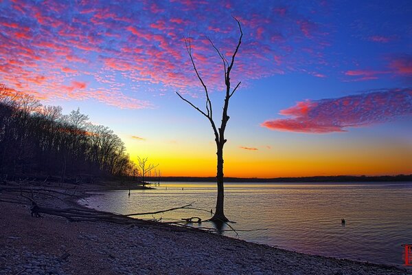 Colorful views. Beach in the morning