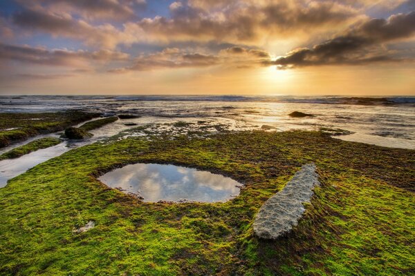 Amanecer sobre la orilla musgosa del mar