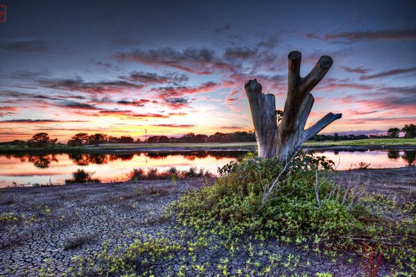 Stagno in America. Tramonto paesaggio