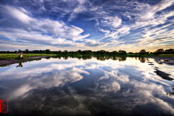 A grassy shore and a lake with a reflecting cloudy sky