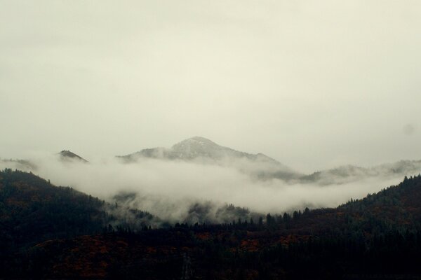 雾中的山。 山地景观