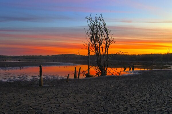 Dawn in summer on the beach. America