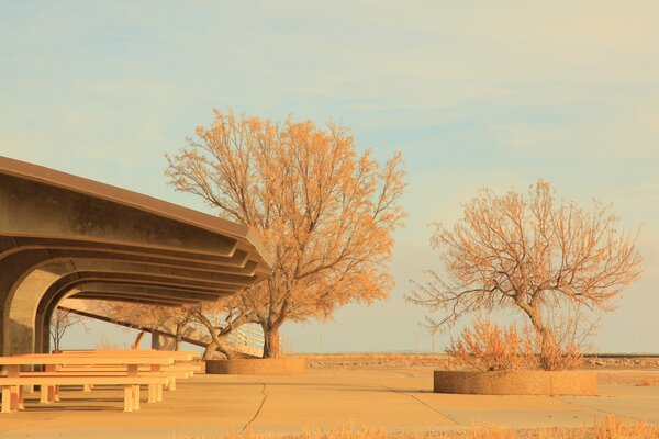 Camping de verano al aire libre