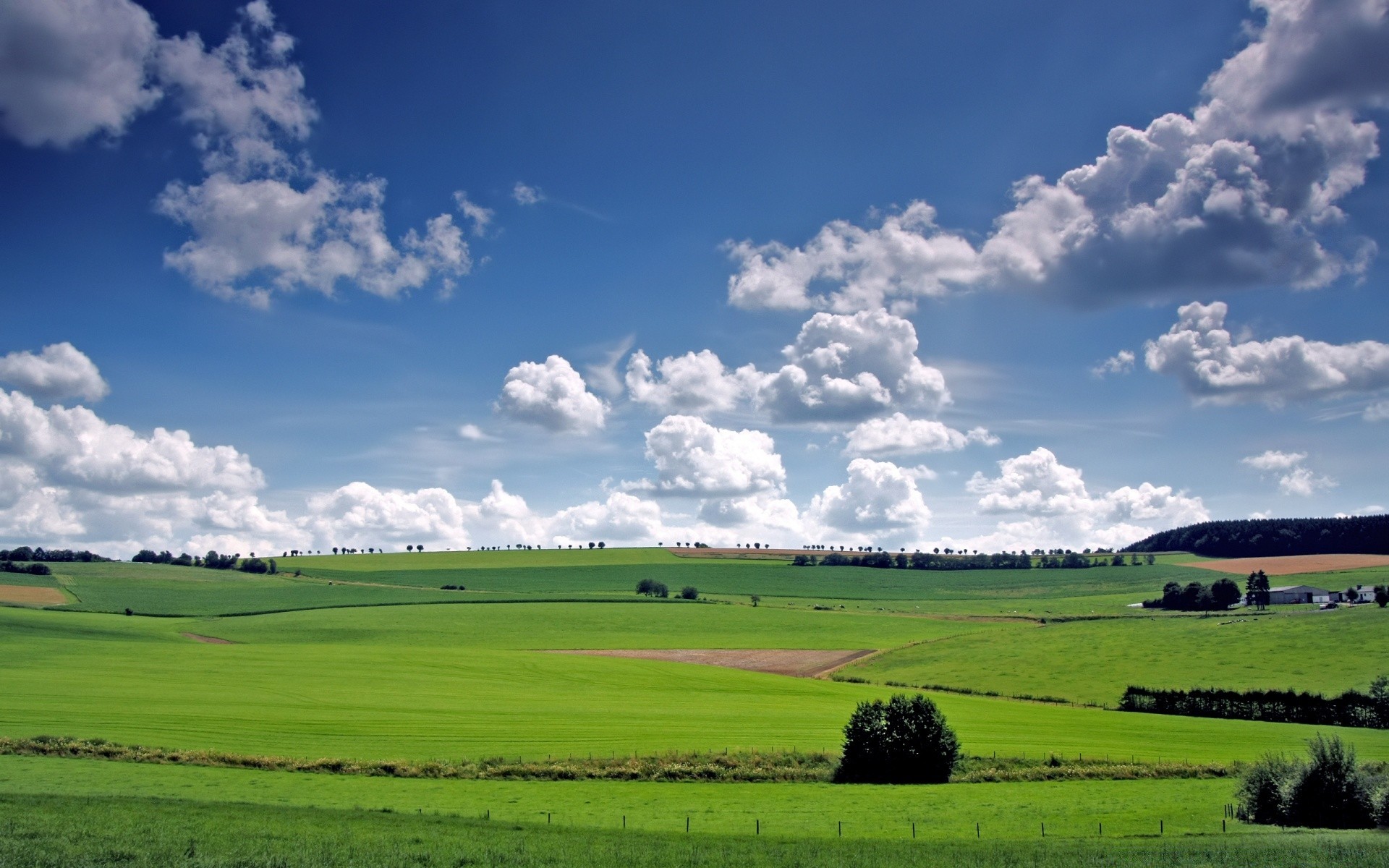 landschaft landwirtschaft des ländlichen landschaft landschaft weide bauernhof gras feld ackerland himmel natur im freien heuhaufen sommer bebautes land land baum boden wolke