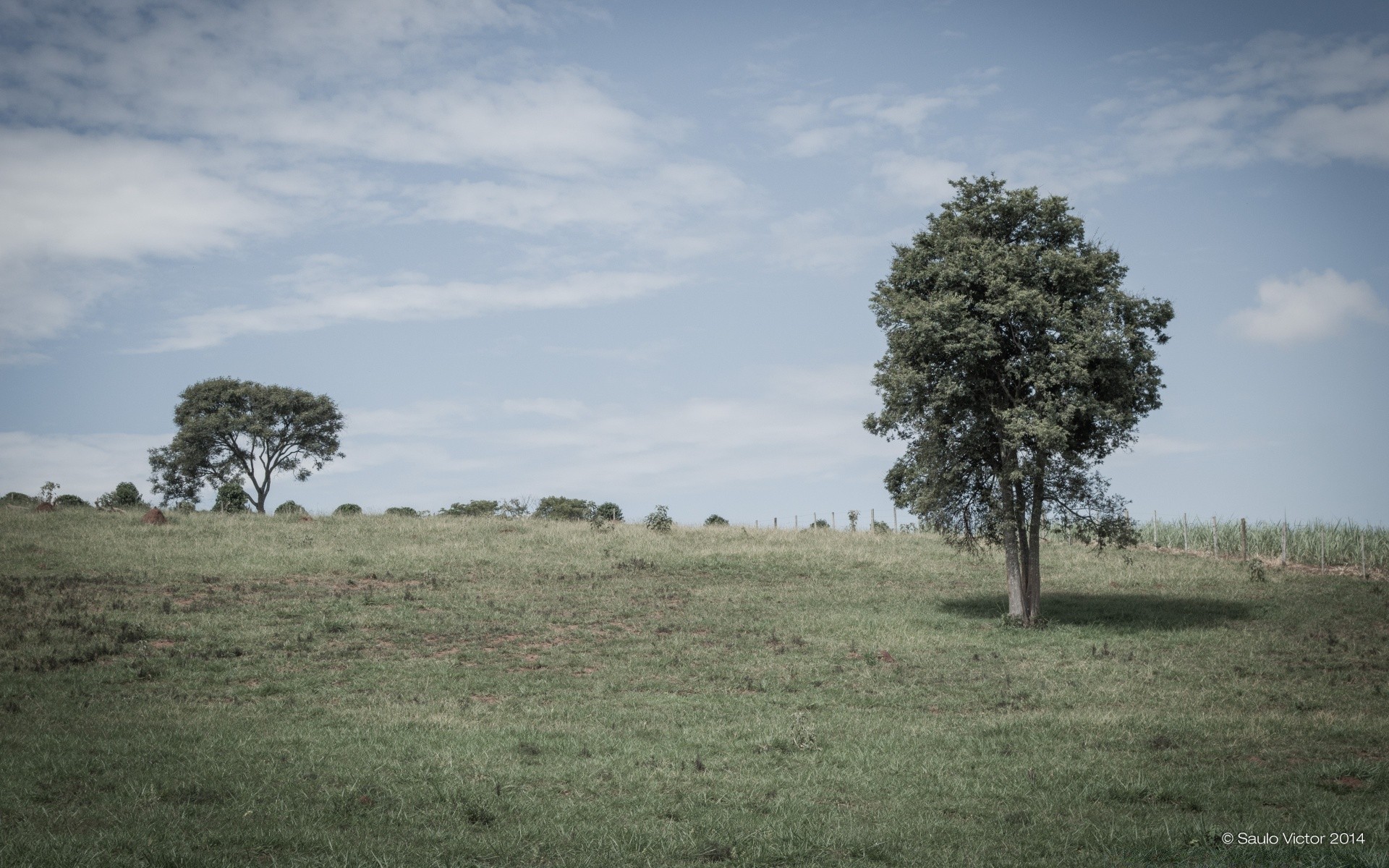 paysage arbre paysage herbe à l extérieur nature ciel champ pâturage bois campagne foin agriculture environnement rural