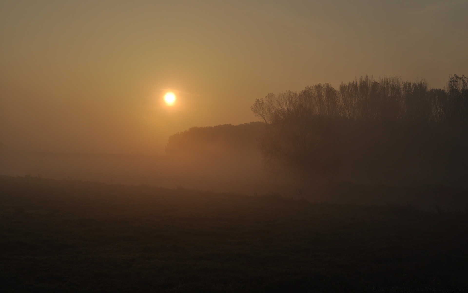 paesaggio tramonto alba nebbia illuminato sera paesaggio sole nebbia crepuscolo silhouette luce cielo albero meteo luna bel tempo natura all aperto lago