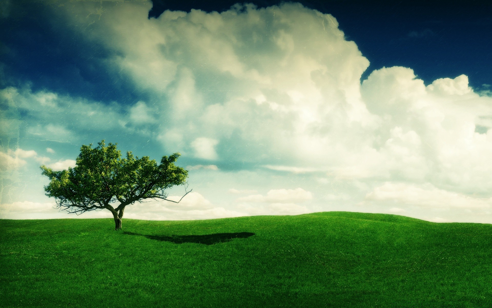 landscapes landscape grass tree field hayfield nature sky grassland countryside outdoors cloud rural soil pasture horizon