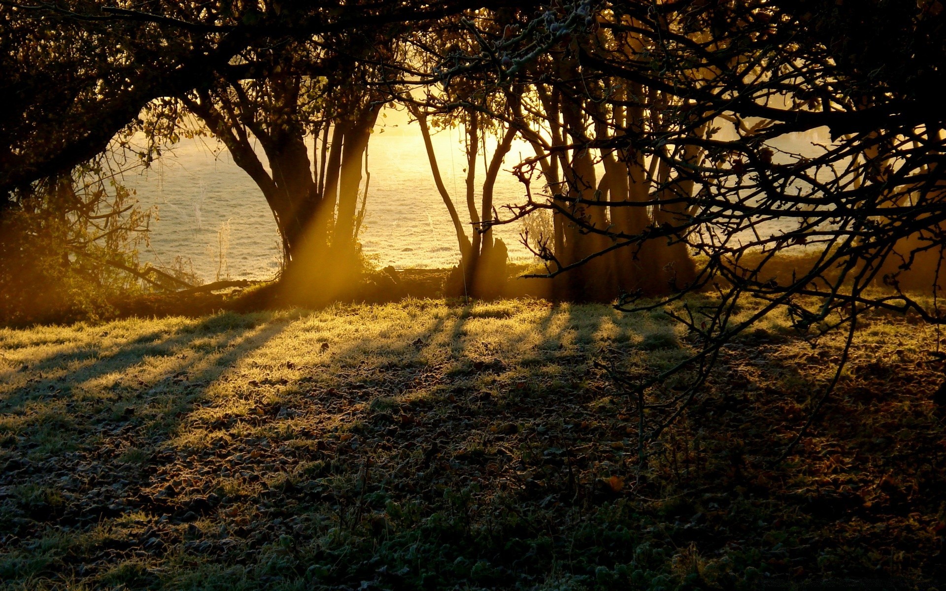 paysage arbre paysage nature coucher de soleil automne aube soir bois lumière soleil parc ombre beau temps à l extérieur feuille brouillard crépuscule eau