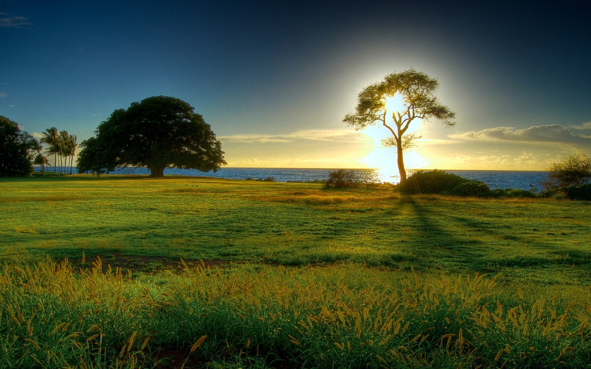 paesaggio paesaggio tramonto natura alba erba campo sole albero cielo all aperto rurale bel tempo campagna agricoltura estate sera fattoria