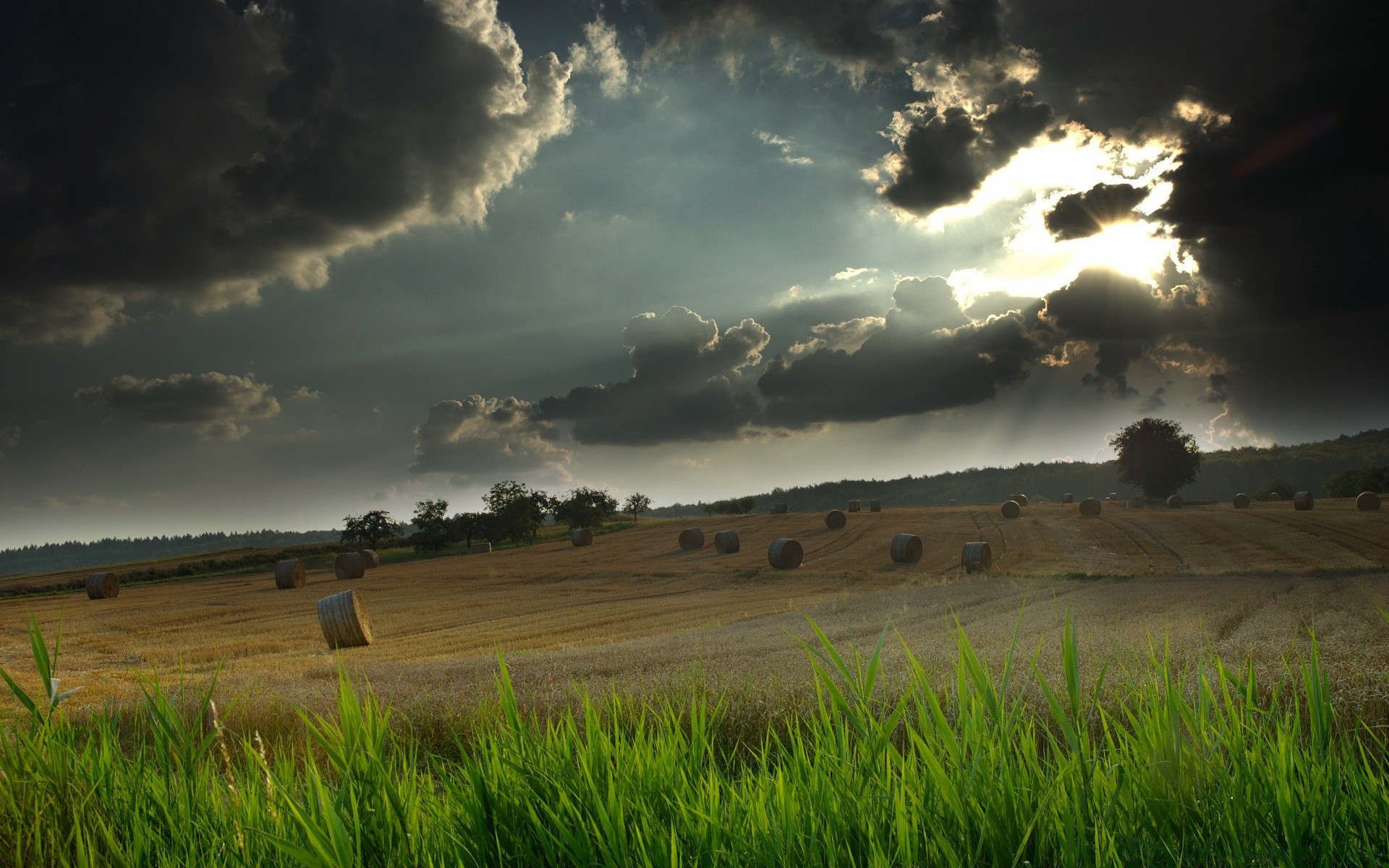 paesaggio paesaggio tramonto cielo agricoltura natura campo alba erba campagna rurale terra coltivata pascolo sole all aperto fattoria grano bel tempo estate pascolo