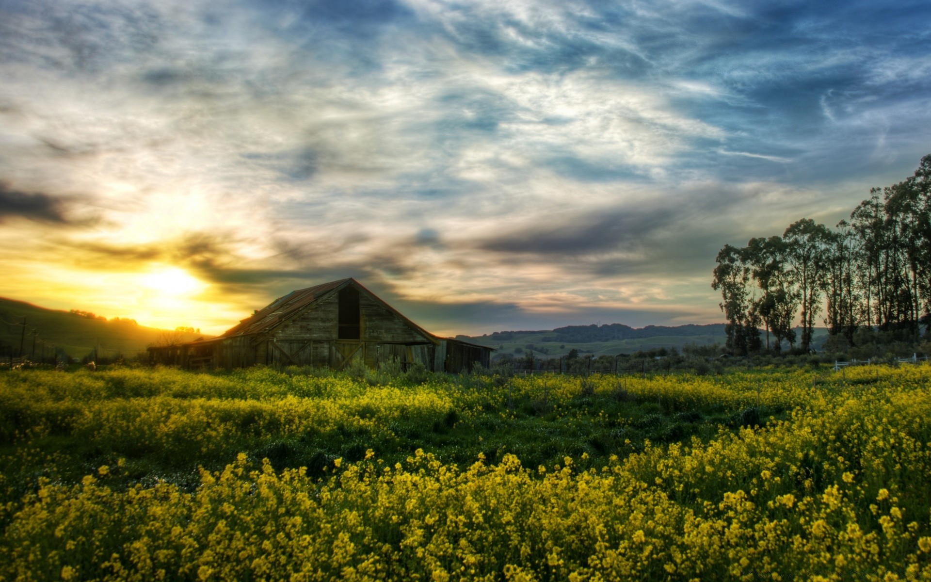 paesaggio paesaggio agricoltura campo cielo azienda agricola natura fieno all aperto nuvola rurale pittoresco campagna albero erba paese tramonto raccolto terra coltivata fiore