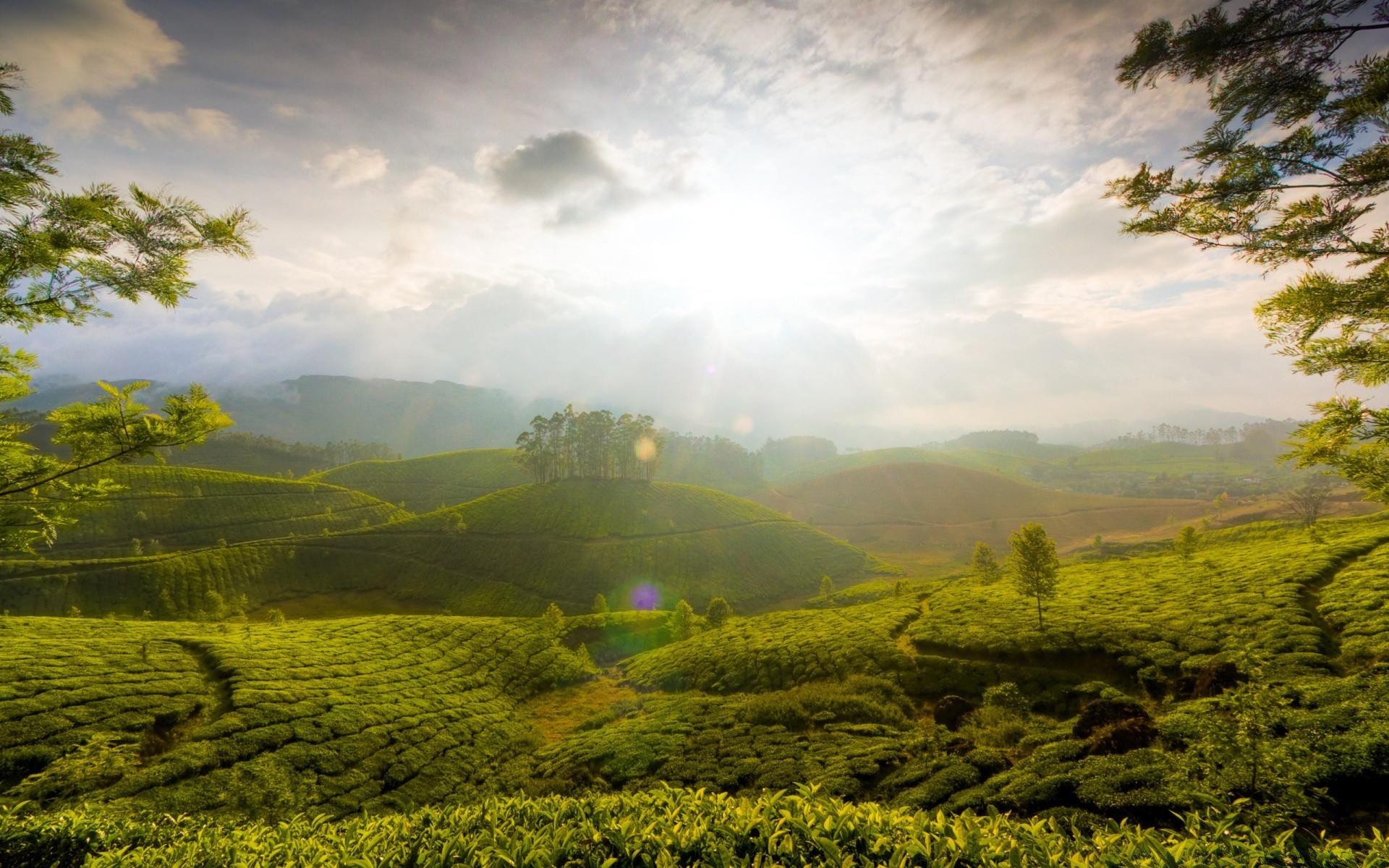 paisagens paisagem natureza árvore montanhas colina madeira ao ar livre cênica agricultura viagens terras cultivadas céu rural amanhecer verão campo campo névoa grama