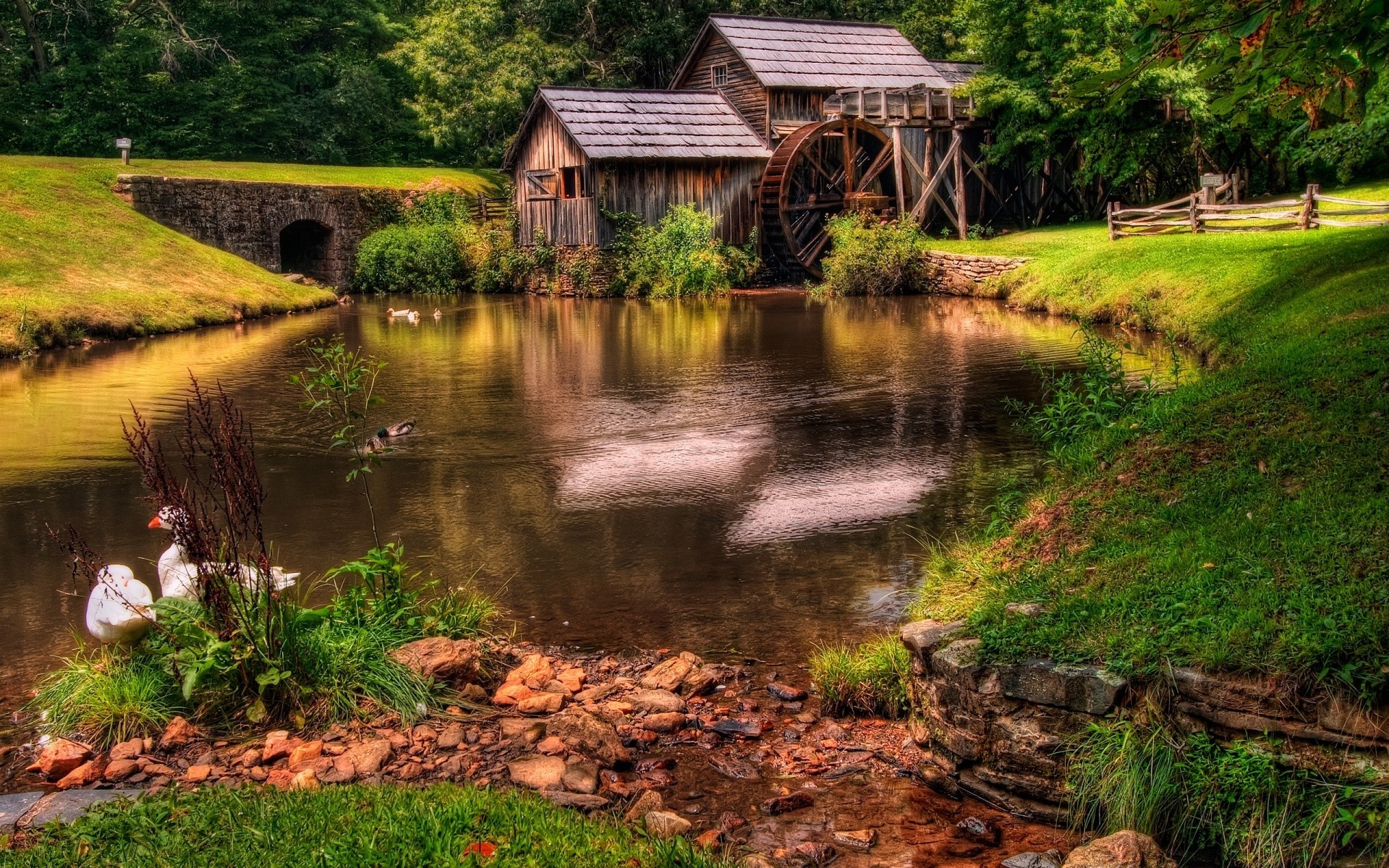 landschaft wasser holz natur fluss im freien landschaft gras brücke baum des ländlichen reisen herbst see blatt landschaft schwimmbad sommer rustikal landschaftlich