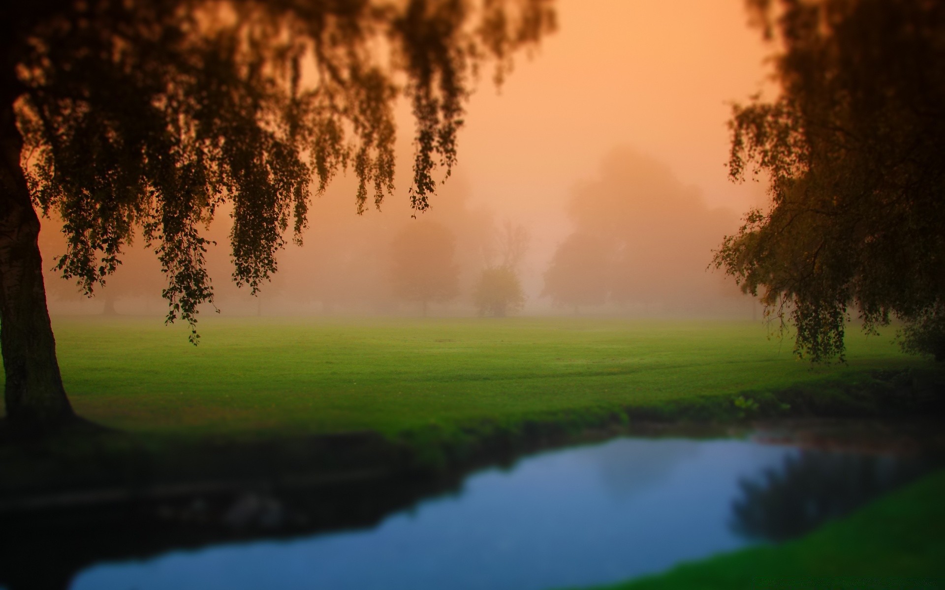 paesaggio alba golf paesaggio albero natura nebbia nebbia all aperto erba sole acqua tramonto bel tempo lago legno riflessione estate cielo sera