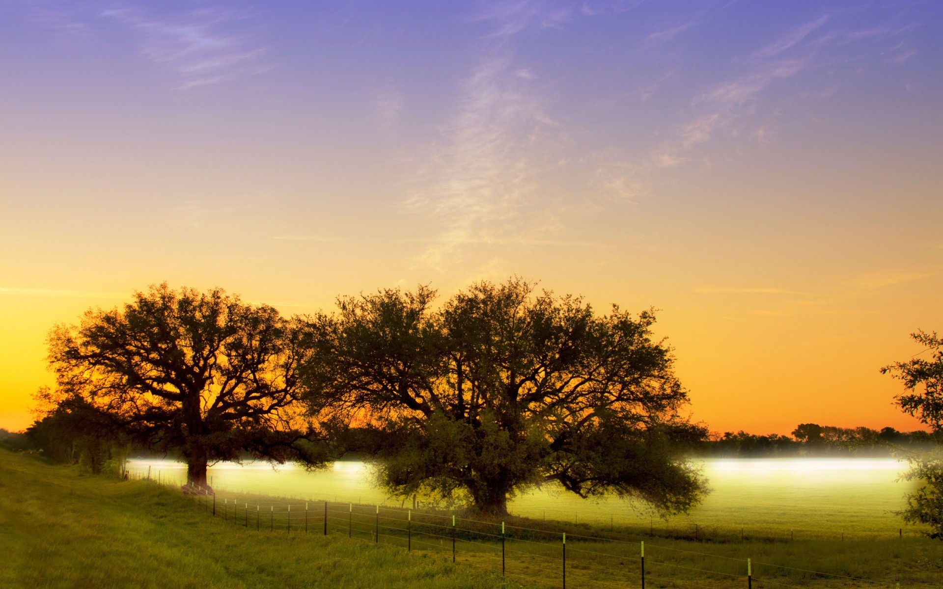 paisagens amanhecer paisagem pôr do sol árvore sol natureza céu grama noite campo outono névoa rural ao ar livre bom tempo luz anoitecer névoa campo