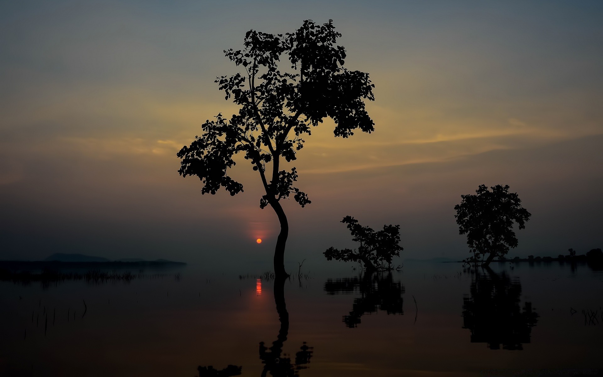 paysage coucher de soleil arbre aube silhouette paysage rétro-éclairé soir soleil eau ciel crépuscule nature en plein air