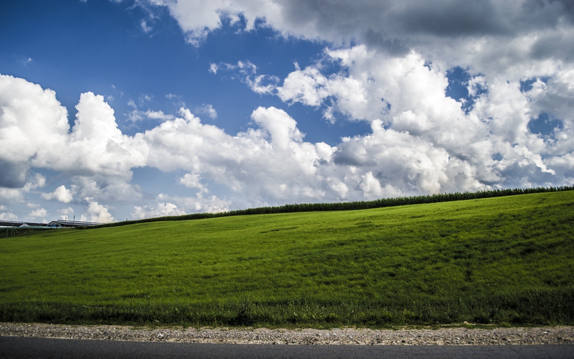 paysage paysage ciel nature rural champ herbe agriculture campagne ferme été en plein air pâturage foin sol nuage pays pâturage