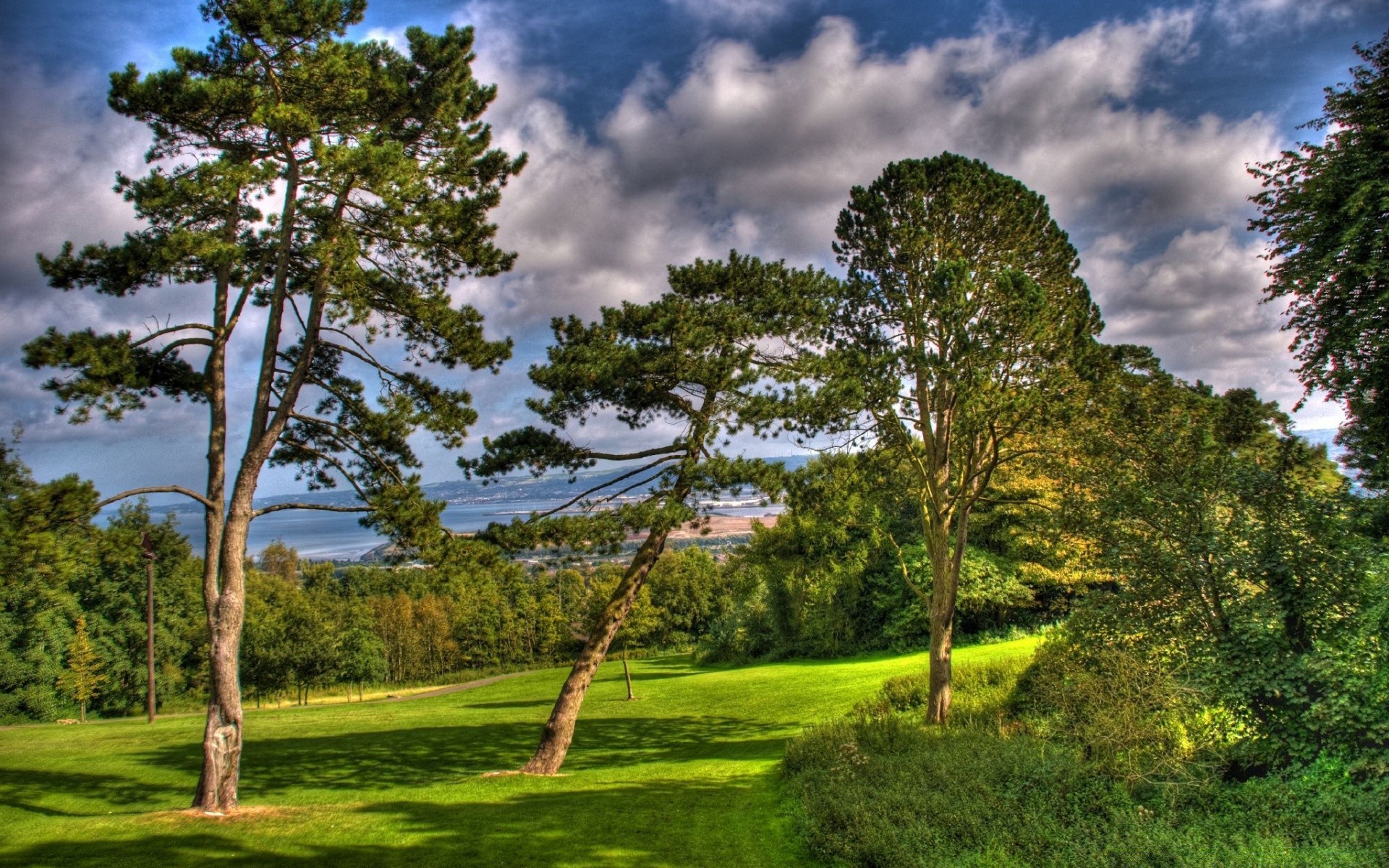 landschaft baum landschaft gras natur holz im freien himmel sommer des ländlichen park landschaftlich landschaftlich gutes wetter heuhaufen blatt flora umwelt sonne