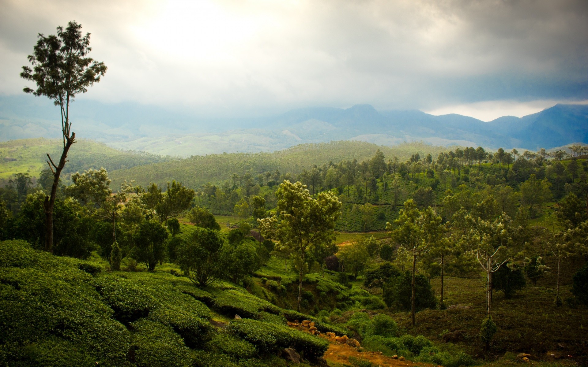 paysage paysage arbre montagnes nature voyage ciel bois à l extérieur colline coucher de soleil brouillard scénique aube forêt tropicale été