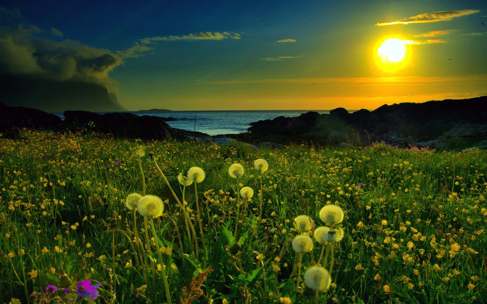 paisagens natureza paisagem sol campo grama verão flor feno amanhecer pôr do sol bom tempo rural ao ar livre pastagem