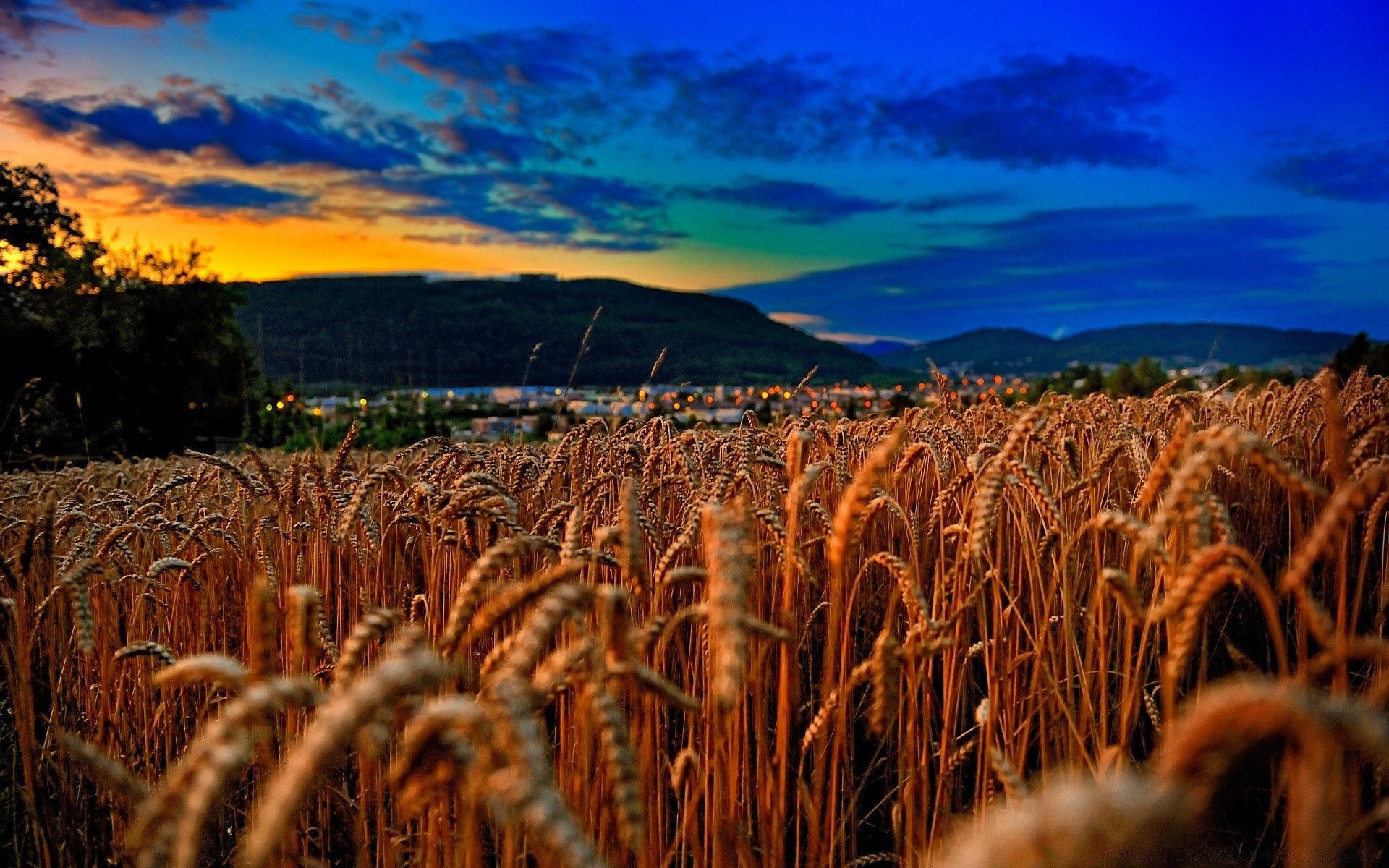 landscapes cereal wheat agriculture outdoors crop landscape gold corn farm evening pasture sky nature bread rural cropland sunset field