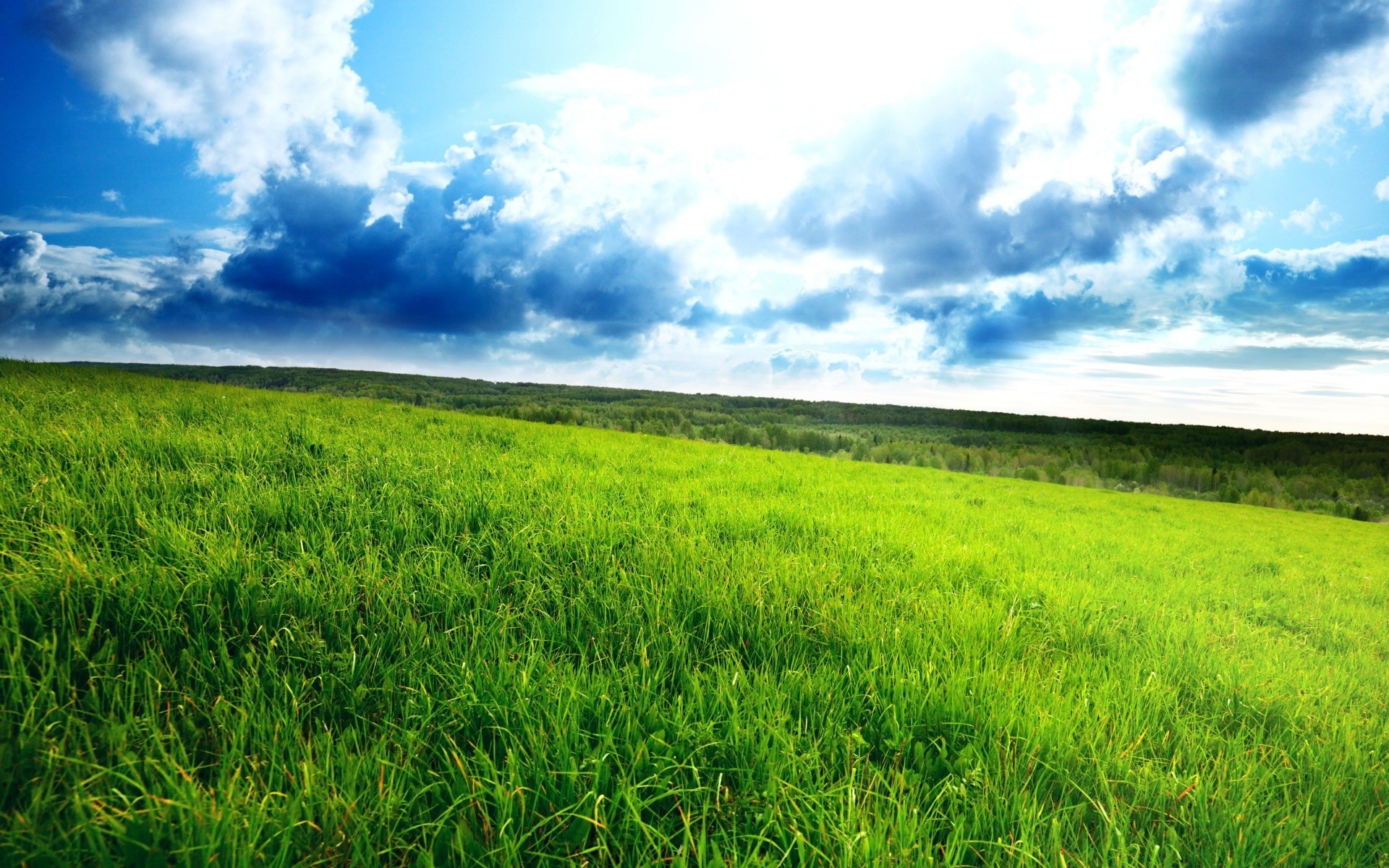 paysage champ paysage foin herbe nature rural été horizon agriculture flore sol ferme ciel nuage croissance saison pâturage pays campagne scène