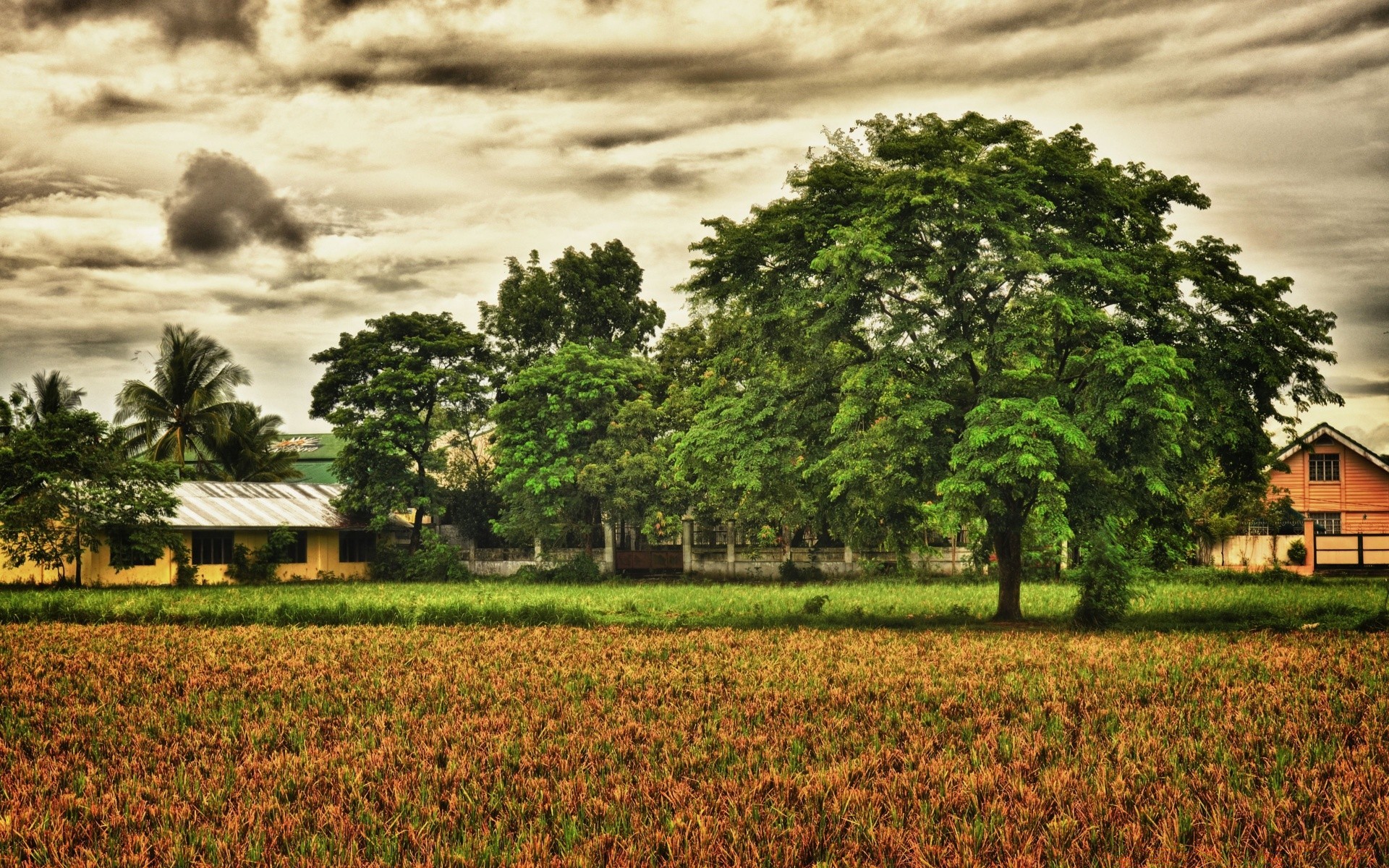 paesaggio albero agricoltura fattoria paesaggio terra coltivata campo natura rurale campagna erba paese all aperto estate viaggi flora