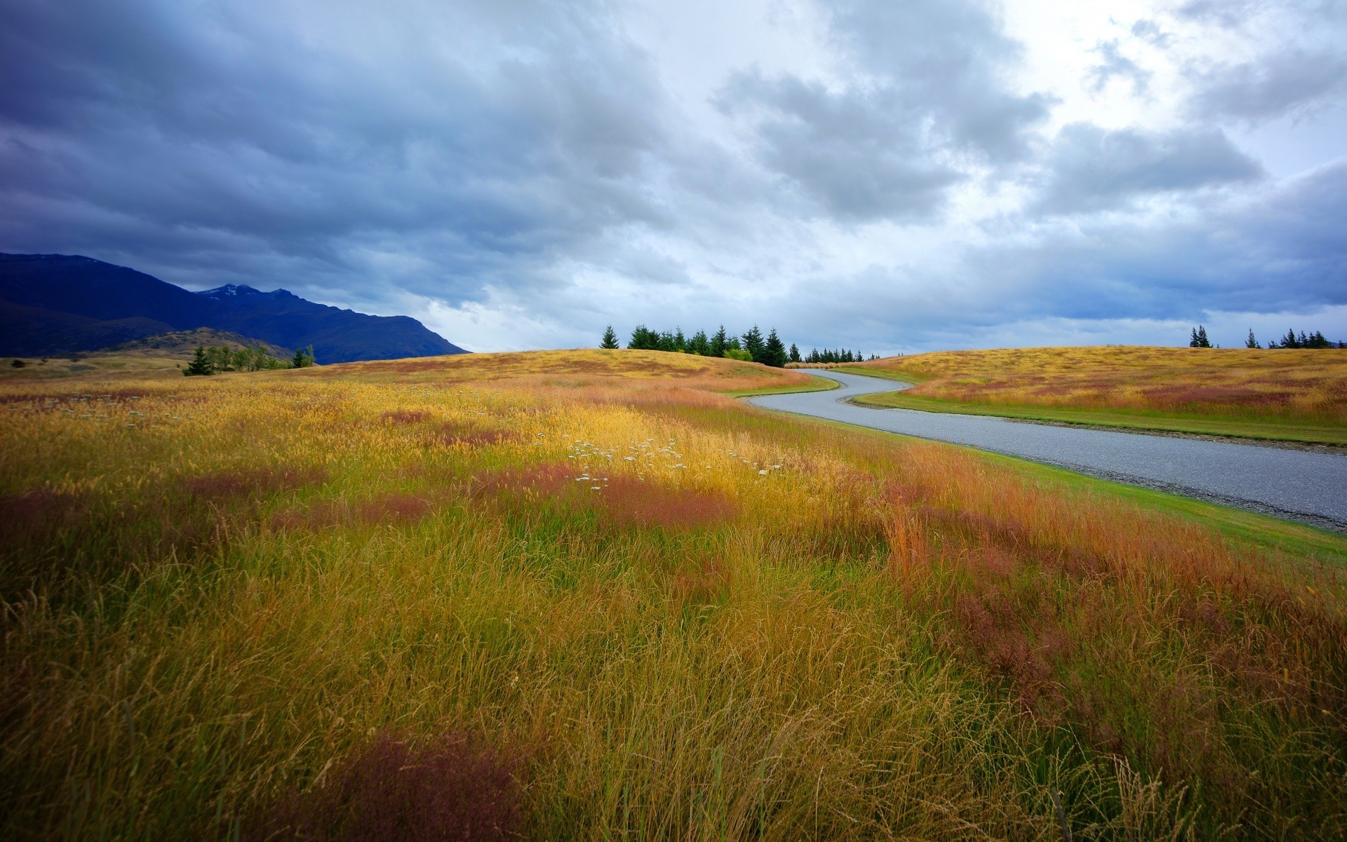 landscapes landscape grass sky nature outdoors hayfield grassland field travel scenic countryside tree water