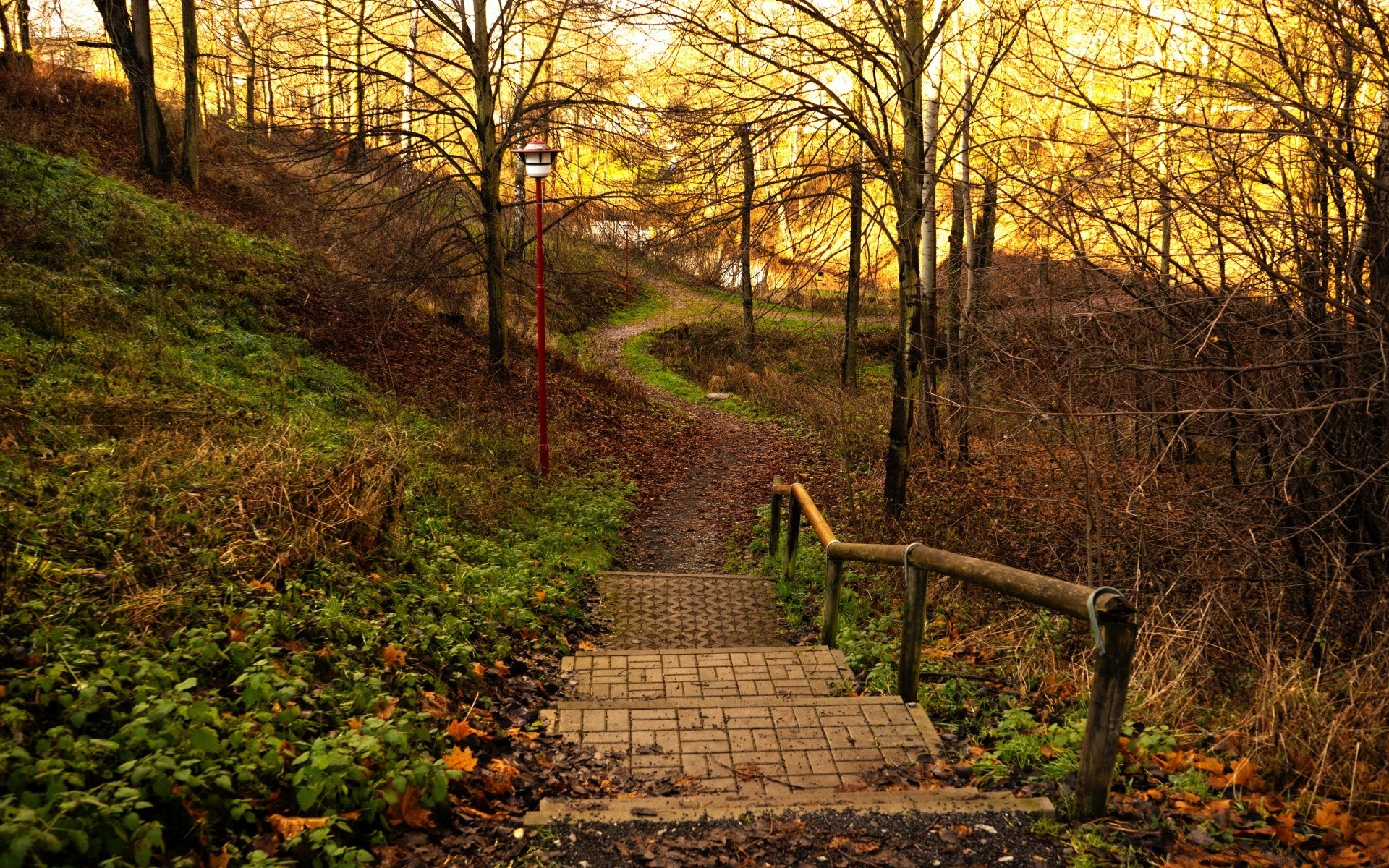 paesaggio autunno strada foglia legno paesaggio guida albero sentiero sentiero natura parco panchina all aperto a piedi