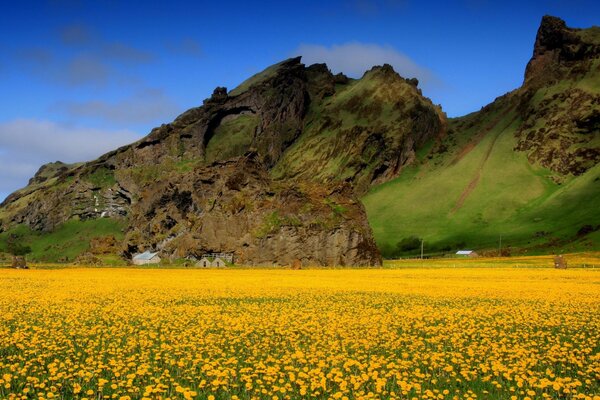 Hermosa naturaleza de campos florecientes y montañas