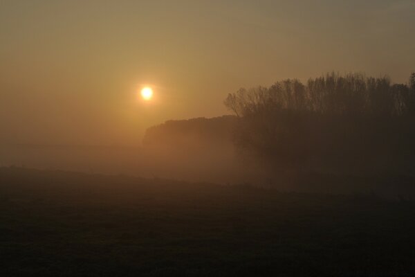 Thick fog reduced visibility