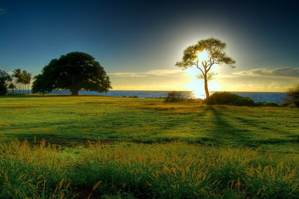 Sunrise on the picturesque seashore