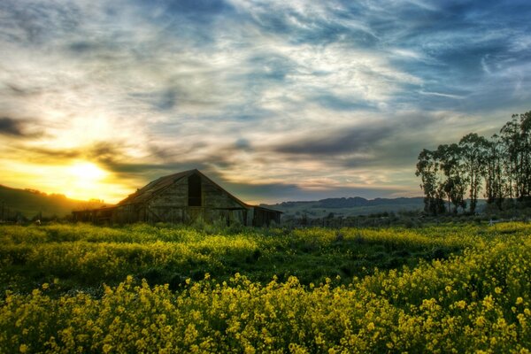 Beautiful rustic dawn