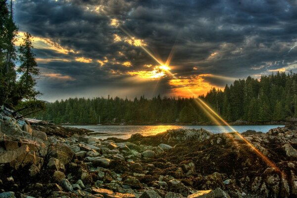 Forêt au coucher du soleil avec reflet dans l eau