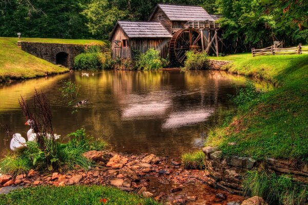 Beautiful house with a mill on the shore of a pond