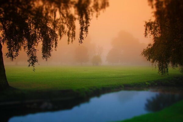 Golfplatz im nebligen Morgengrauen