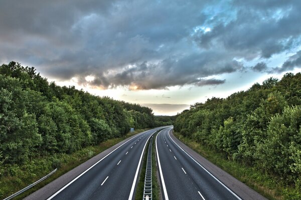 A road in the forest going into the distance