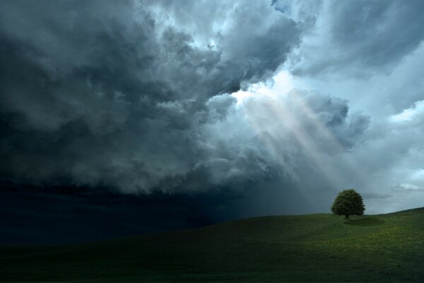 Landscape meadows under a stormy sky