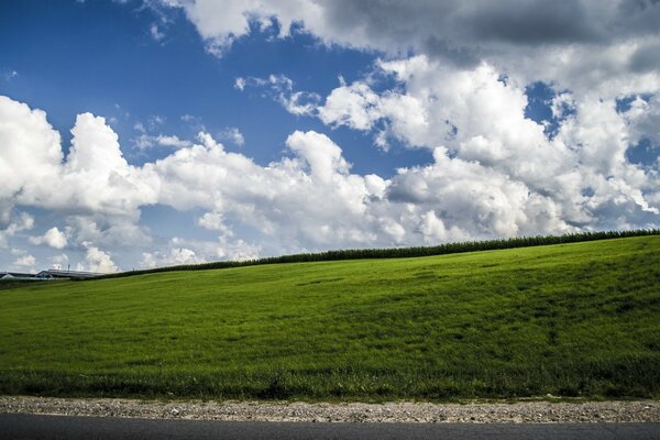 Pradera verde brillante contra el cielo azul nublado