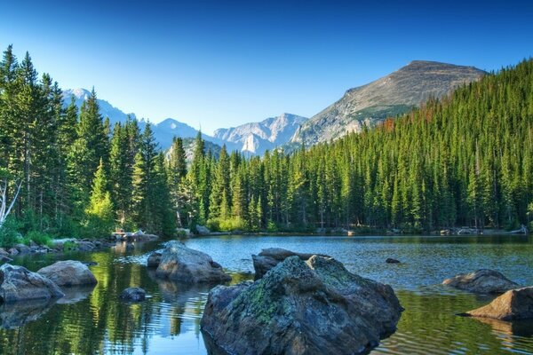 Lago de montaña entre el bosque