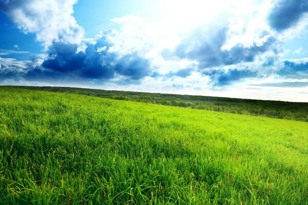 The vastness of fields in the cloudy sky