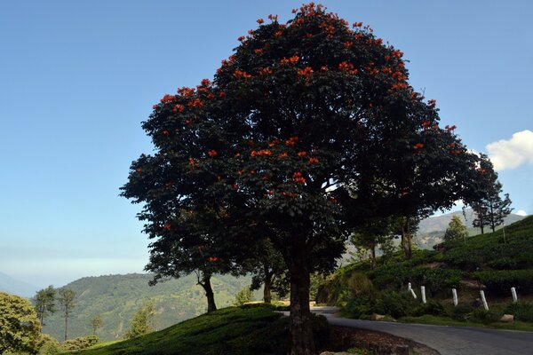 The beauty of mountain paths and roads