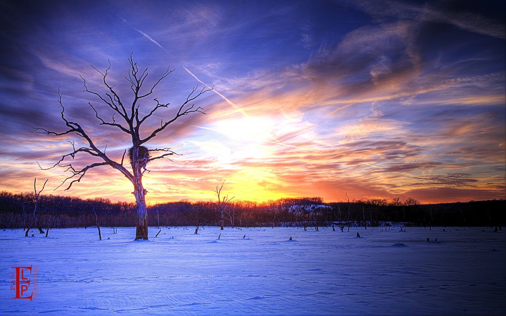 amerika sonnenuntergang dämmerung wasser abend dämmerung natur landschaft himmel sonne im freien see gutes wetter winter baum