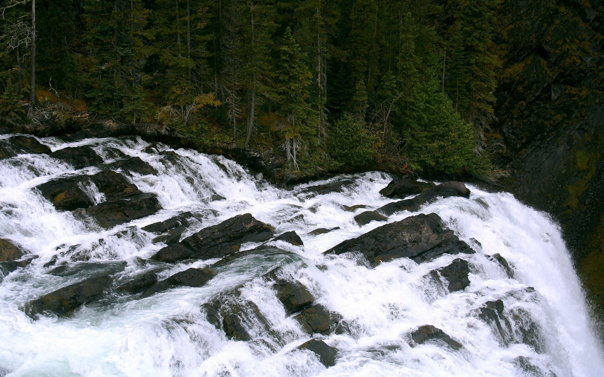 америка пейзаж водоспад води річка рок гори на відкритому повітрі потік деревини денне світло подорожі мальовничий руху природа середовища дерево холодна парк