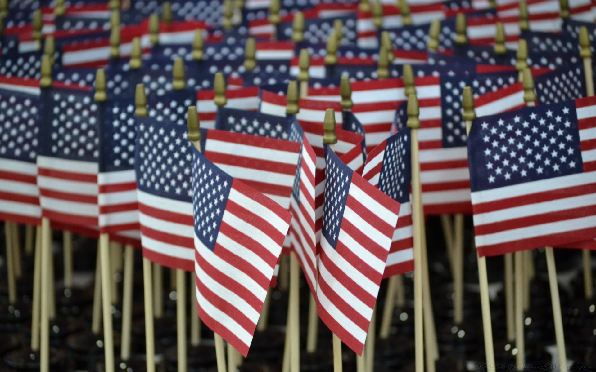 américa bandeira patriotismo tira administração eleições orgulho veterano liberdade dia da independência bandeira democracia organizações nacional personalidade honra competição população quarto liberdade